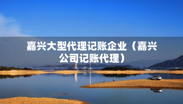 嘉興大型代理記賬企業(yè)（嘉興公司記賬代理）