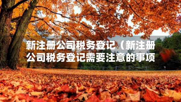 新注冊公司稅務(wù)登記（新注冊公司稅務(wù)登記需要注意的事項(xiàng)）