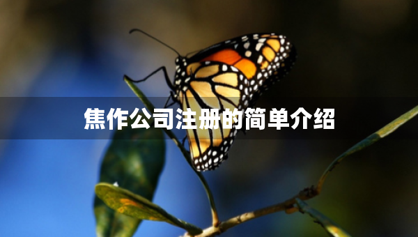 焦作公司注冊的簡單介紹