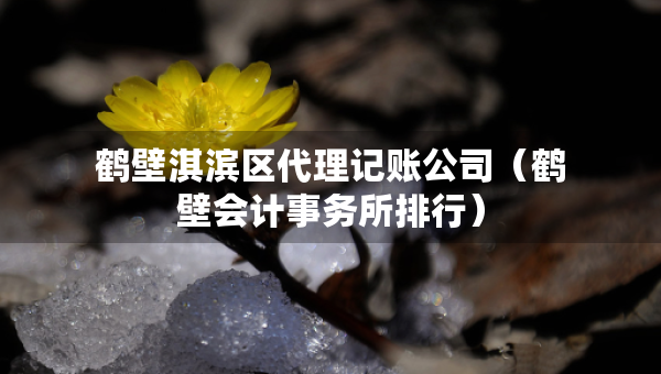 鶴壁淇濱區(qū)代理記賬公司（鶴壁會(huì)計(jì)事務(wù)所排行）