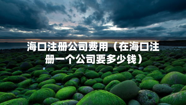 ?？谧怨举M用（在海口注冊一個公司要多少錢）