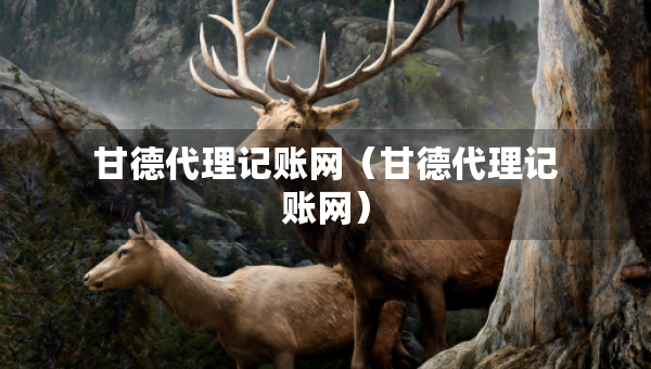 甘德代理記賬網(wǎng)（甘德代理記賬網(wǎng)）