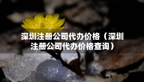 深圳注冊公司代辦價格（深圳注冊公司代辦價格查詢）
