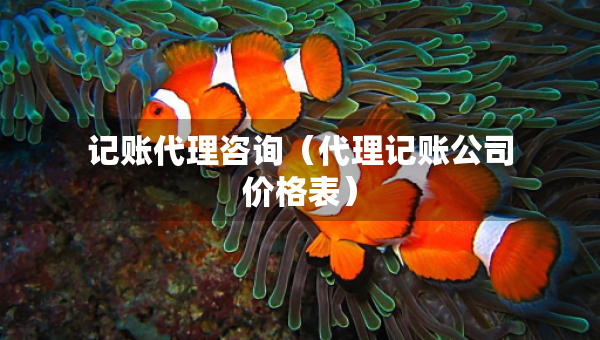 記賬代理咨詢（代理記賬公司價(jià)格表）