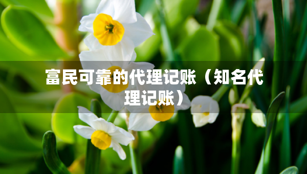 富民可靠的代理記賬（知名代理記賬）
