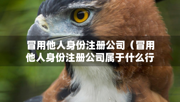 冒用他人身份注冊(cè)公司（冒用他人身份注冊(cè)公司屬于什么行為）