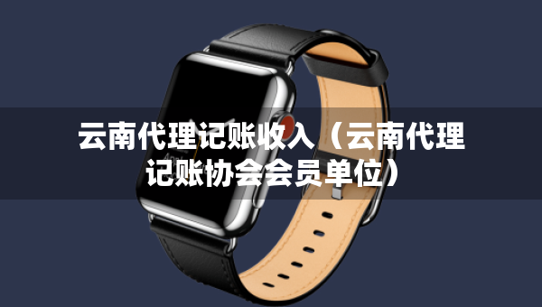云南代理記賬收入（云南代理記賬協(xié)會會員單位）