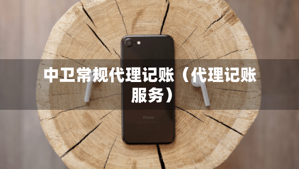 中衛(wèi)常規(guī)代理記賬（代理記賬 服務(wù)）