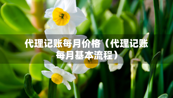 代理記賬每月價格（代理記賬每月基本流程）