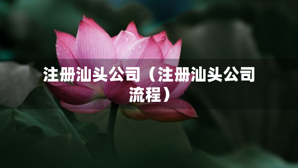 注冊汕頭公司（注冊汕頭公司流程）