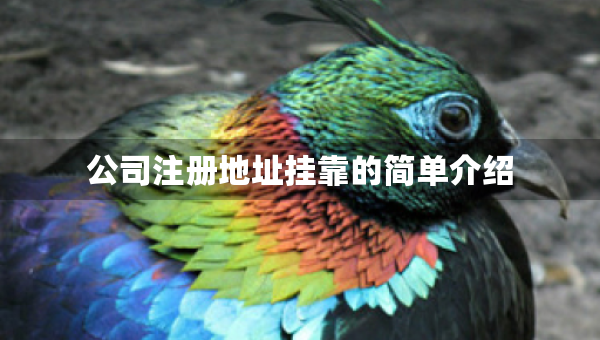 公司注冊地址掛靠的簡單介紹