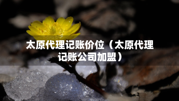 太原代理記賬價位（太原代理記賬公司加盟）