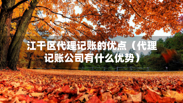 江干區(qū)代理記賬的優(yōu)點（代理記賬公司有什么優(yōu)勢）