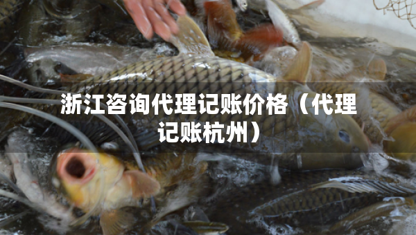 浙江咨詢代理記賬價(jià)格（代理記賬杭州）