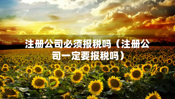 注冊公司必須報稅嗎（注冊公司一定要報稅嗎）