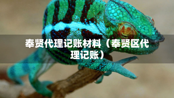 奉賢代理記賬材料（奉賢區(qū)代理記賬）