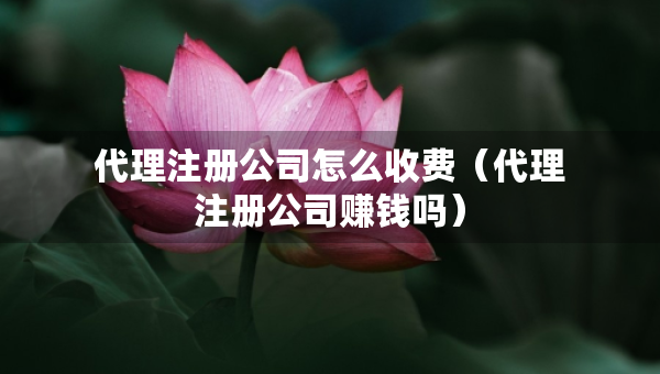 代理注冊(cè)公司怎么收費(fèi)（代理注冊(cè)公司賺錢(qián)嗎）