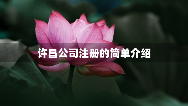 許昌公司注冊的簡單介紹