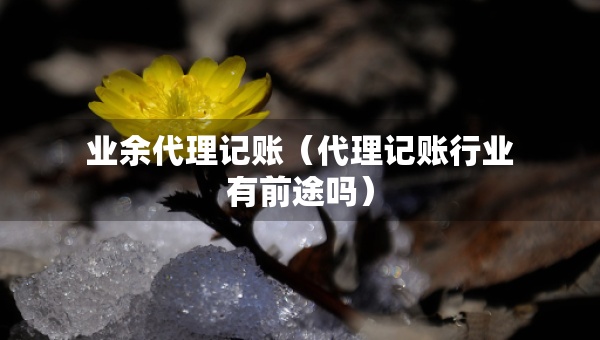 業(yè)余代理記賬（代理記賬行業(yè)有前途嗎）