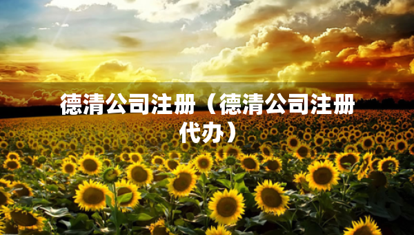 德清公司注冊（德清公司注冊代辦）
