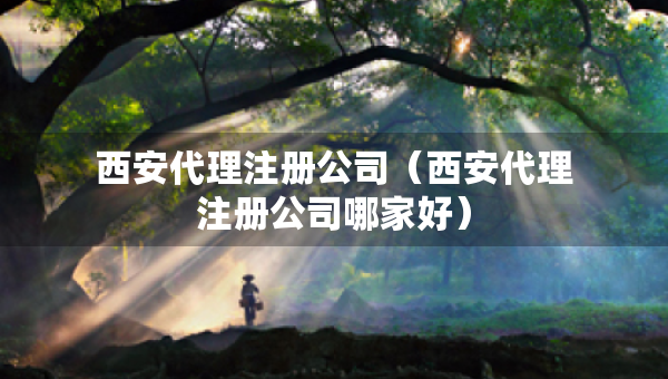 西安代理注冊公司（西安代理注冊公司哪家好）