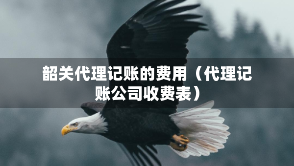 韶關(guān)代理記賬的費(fèi)用(代理記賬公司收費(fèi)表) 韶關(guān)代理記賬的費(fèi)用(代理記賬公司收費(fèi)表)