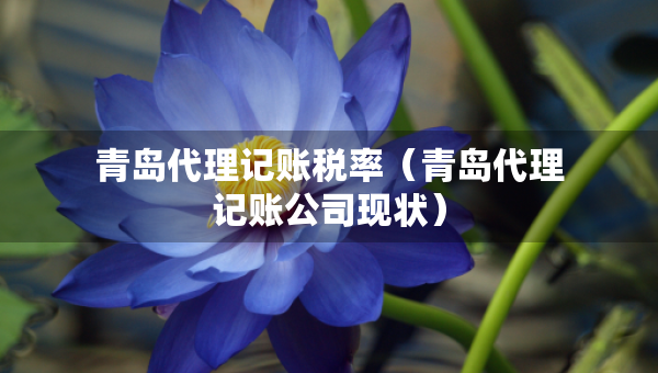 青島代理記賬稅率（青島代理記賬公司現(xiàn)狀）