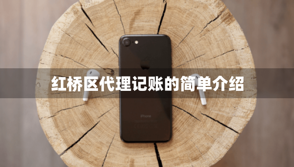 紅橋區(qū)代理記賬的簡單介紹