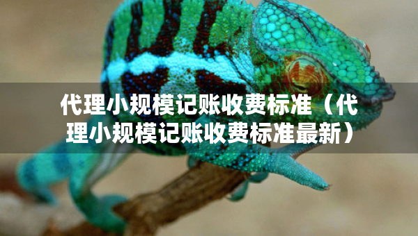 代理小規(guī)模記賬收費標(biāo)準(zhǔn)（代理小規(guī)模記賬收費標(biāo)準(zhǔn)最新）