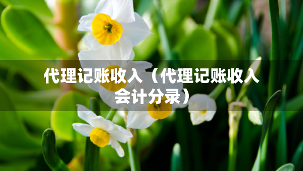 代理記賬收入（代理記賬收入會計分錄）