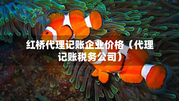 紅橋代理記賬企業(yè)價格（代理記賬稅務公司）