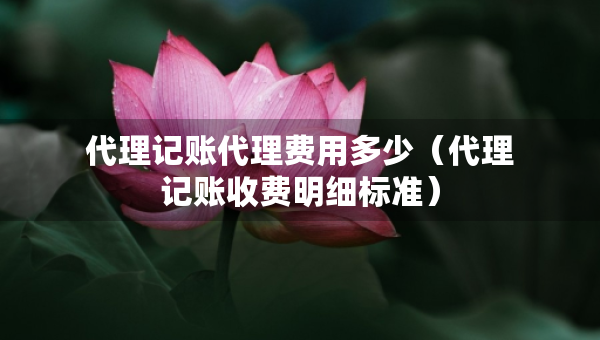 代理記賬代理費(fèi)用多少（代理記賬收費(fèi)明細(xì)標(biāo)準(zhǔn)）