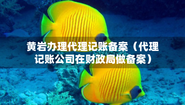 黃巖辦理代理記賬備案（代理記賬公司在財(cái)政局做備案）