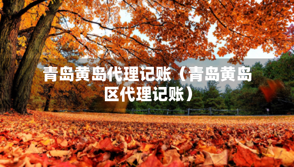 青島黃島代理記賬（青島黃島區(qū)代理記賬）