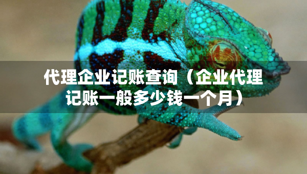 代理企業(yè)記賬查詢（企業(yè)代理記賬一般多少錢一個月）