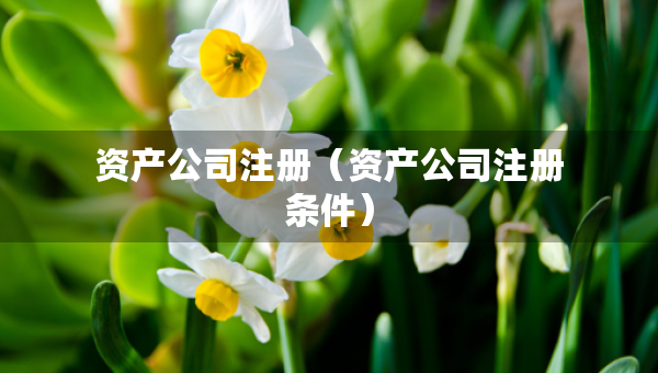 資產(chǎn)公司注冊（資產(chǎn)公司注冊條件）