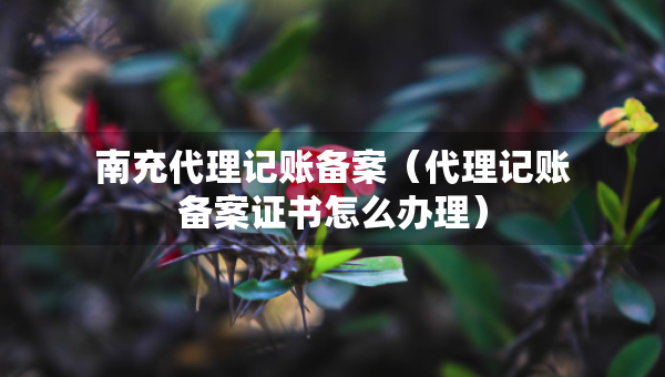 南充代理記賬備案（代理記賬備案證書怎么辦理）