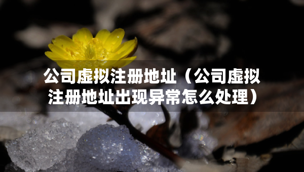 公司虛擬注冊地址（公司虛擬注冊地址出現(xiàn)異常怎么處理）