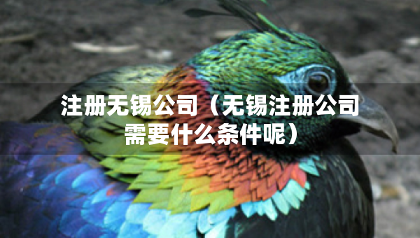 注冊(cè)無錫公司（無錫注冊(cè)公司需要什么條件呢）