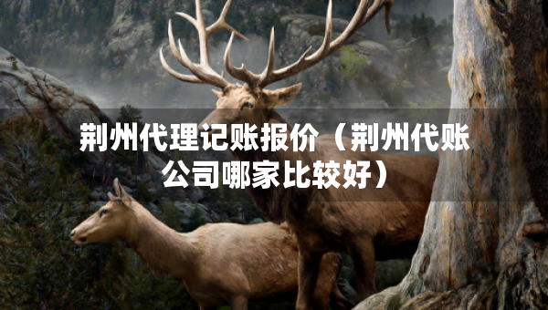 荊州代理記賬報(bào)價(jià)（荊州代賬公司哪家比較好）