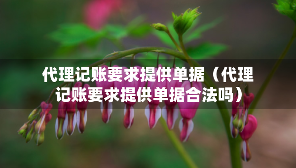 代理記賬要求提供單據(jù)（代理記賬要求提供單據(jù)合法嗎）