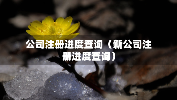 公司注冊進(jìn)度查詢（新公司注冊進(jìn)度查詢）