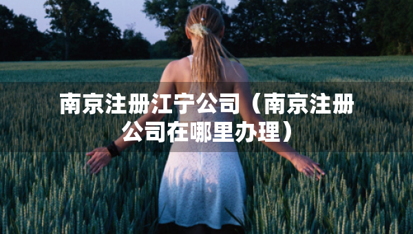 南京注冊江寧公司（南京注冊公司在哪里辦理）