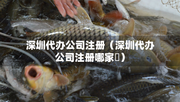 深圳代辦公司注冊（深圳代辦公司注冊哪家奿）