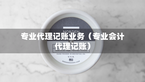 專業(yè)代理記賬業(yè)務(wù)（專業(yè)會(huì)計(jì)代理記賬）