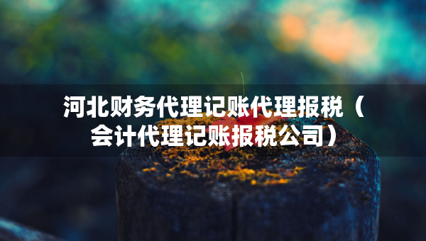 河北財(cái)務(wù)代理記賬代理報(bào)稅（會(huì)計(jì)代理記賬報(bào)稅公司）