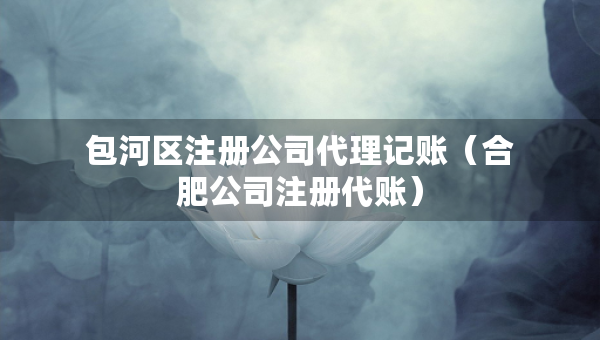 包河區(qū)注冊公司代理記賬（合肥公司注冊代賬）