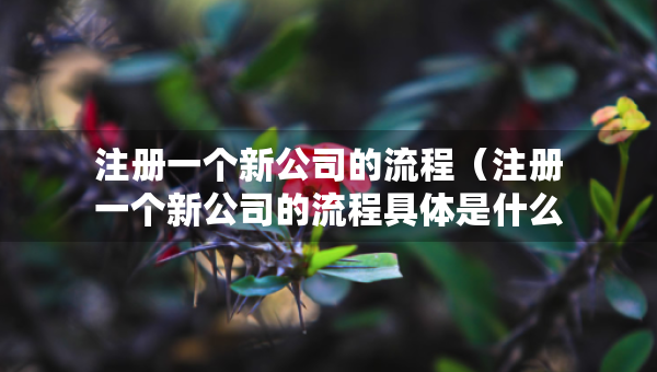 注冊(cè)一個(gè)新公司的流程（注冊(cè)一個(gè)新公司的流程具體是什么）