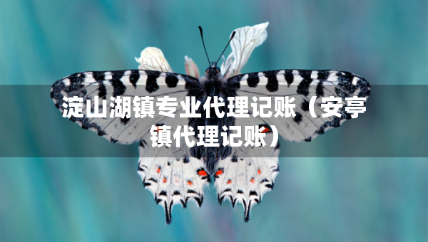淀山湖鎮(zhèn)專(zhuān)業(yè)代理記賬（安亭鎮(zhèn)代理記賬）