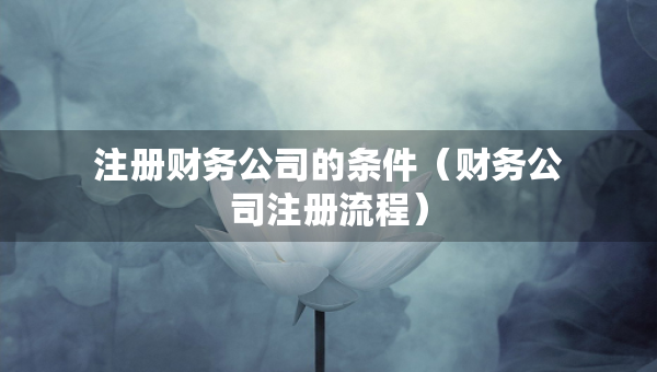 注冊(cè)財(cái)務(wù)公司的條件（財(cái)務(wù)公司注冊(cè)流程）